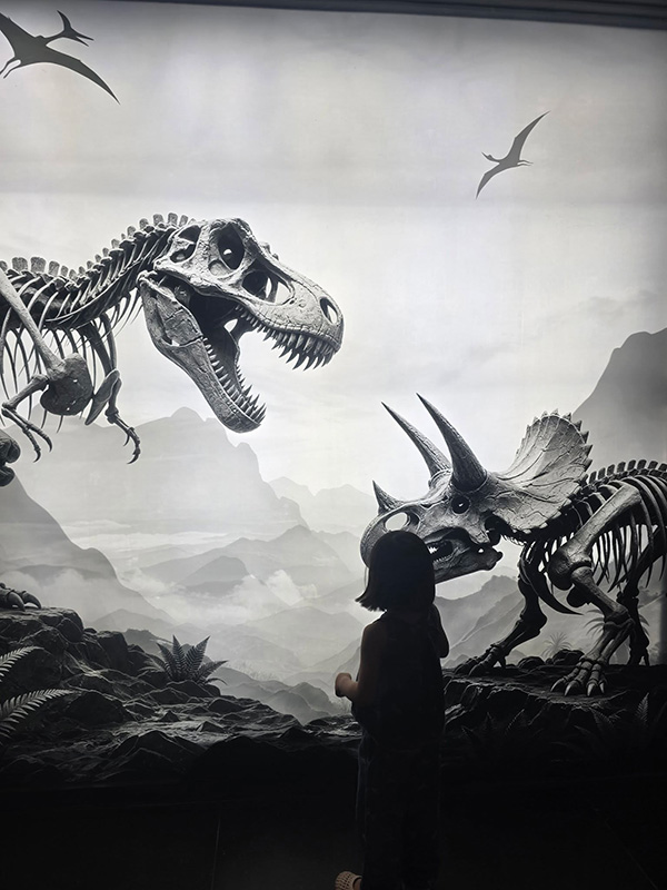 Natural History Museum Shenzhen ที่เที่ยวเซินเจิ้น