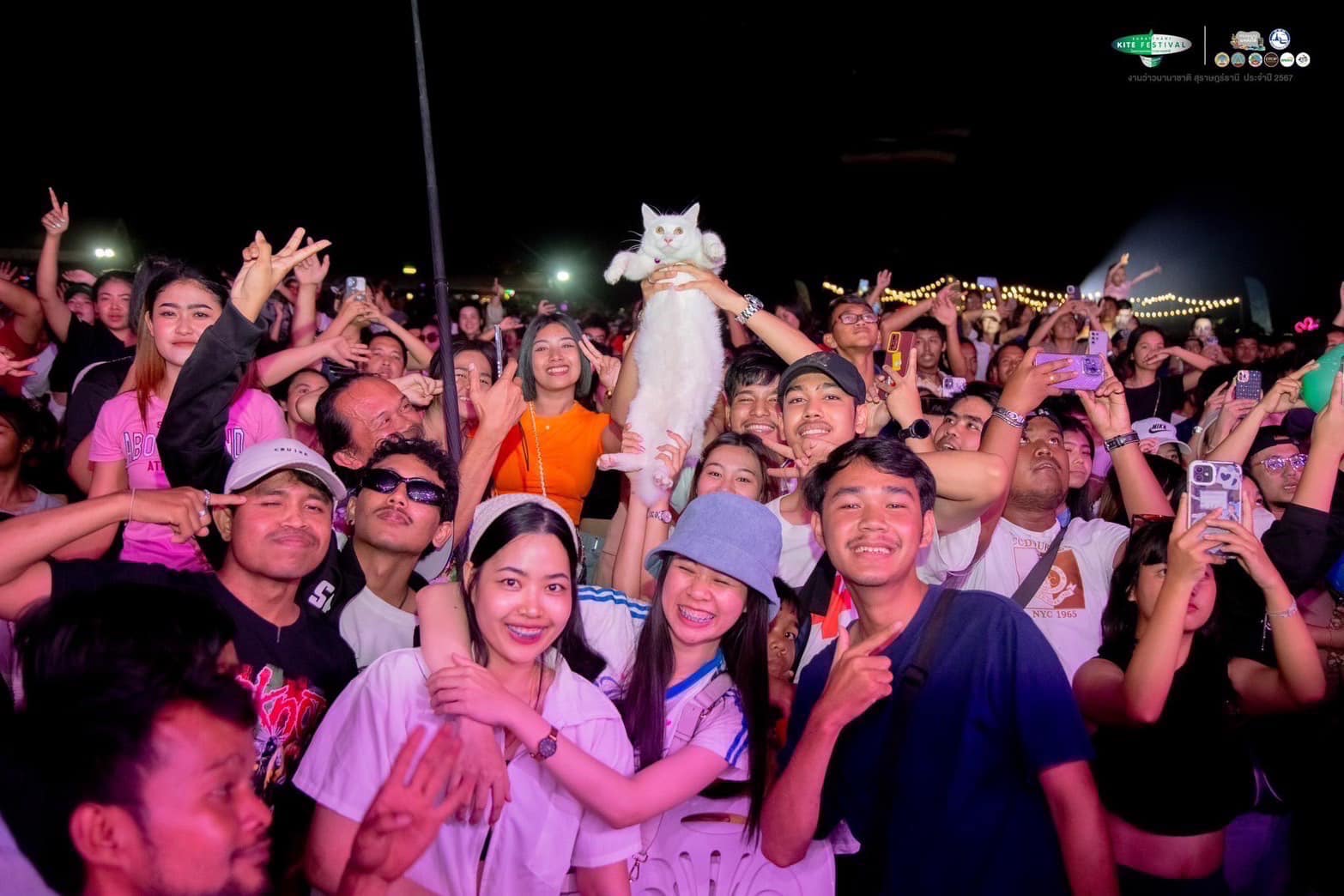 ดูคอนเสิร์ต