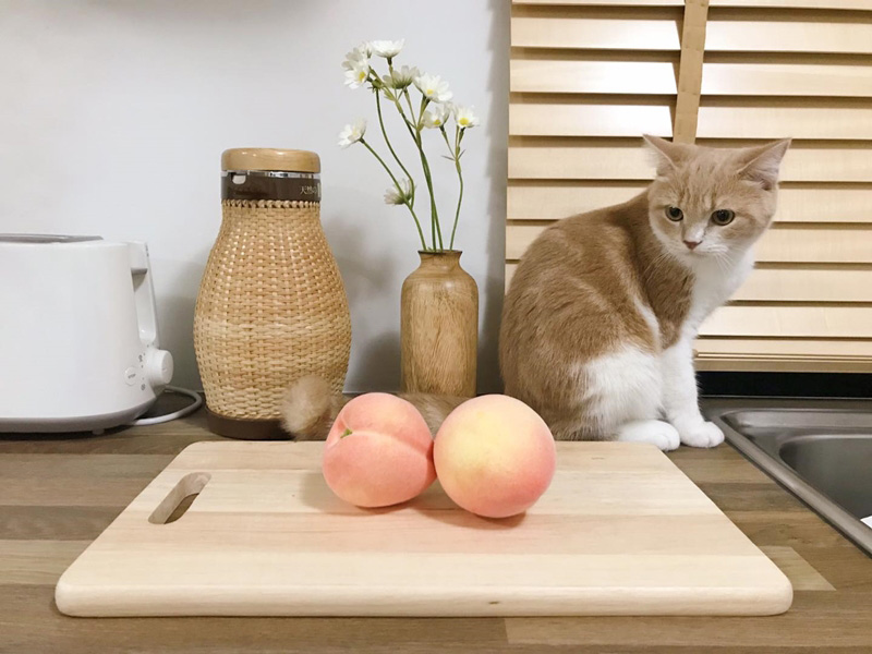 แบบห้องครัวสไตล์โฮมคาเฟ่