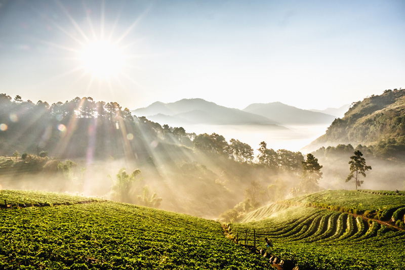 บ้านนอแล เชียงใหม่