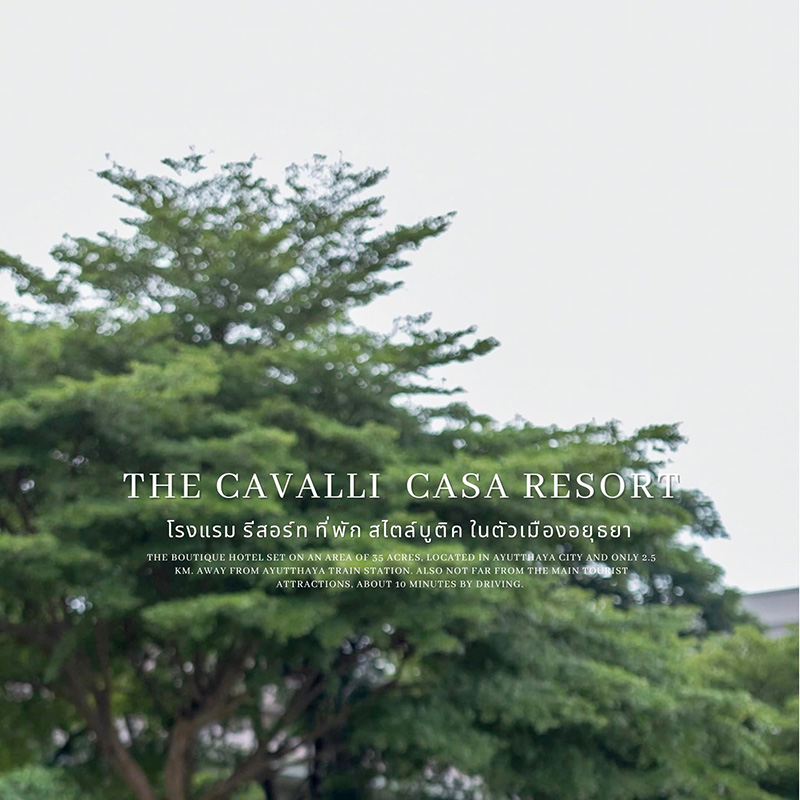The Cavalli Casa Resort
