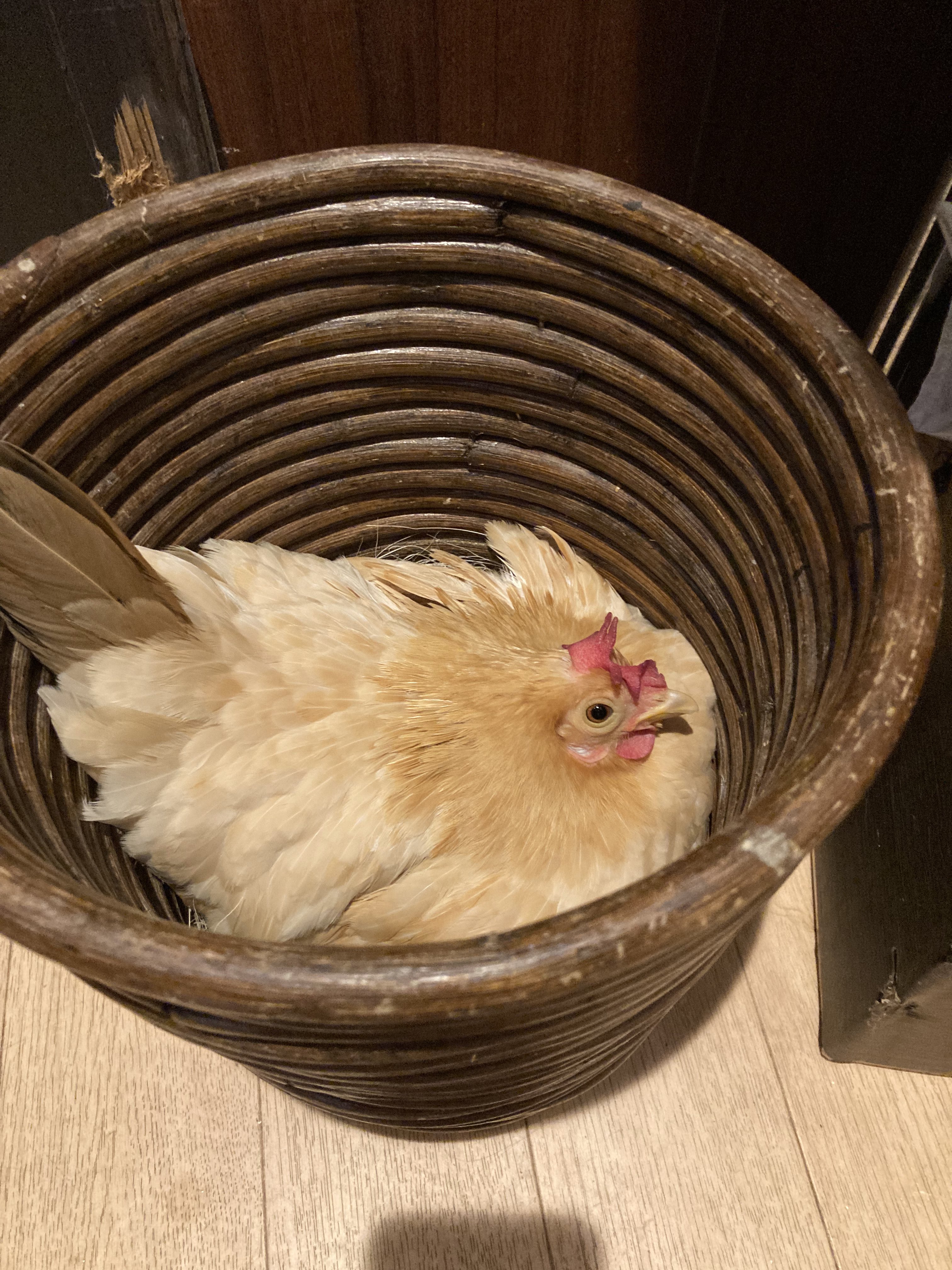 เข้าห้องน้ำ