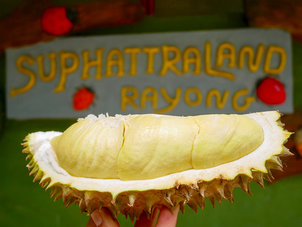 สวนทุเรียนบุฟเฟ่ต์