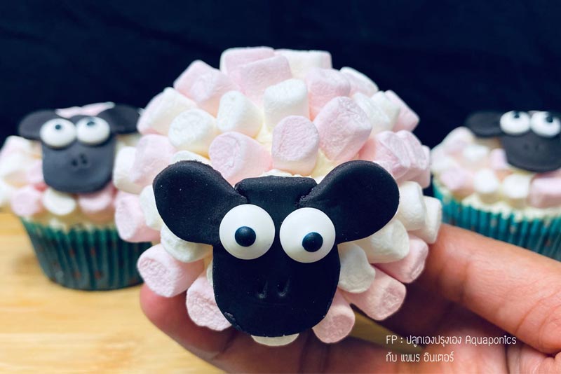 คัพเค้กแกะ มาร์ชเมลโล่