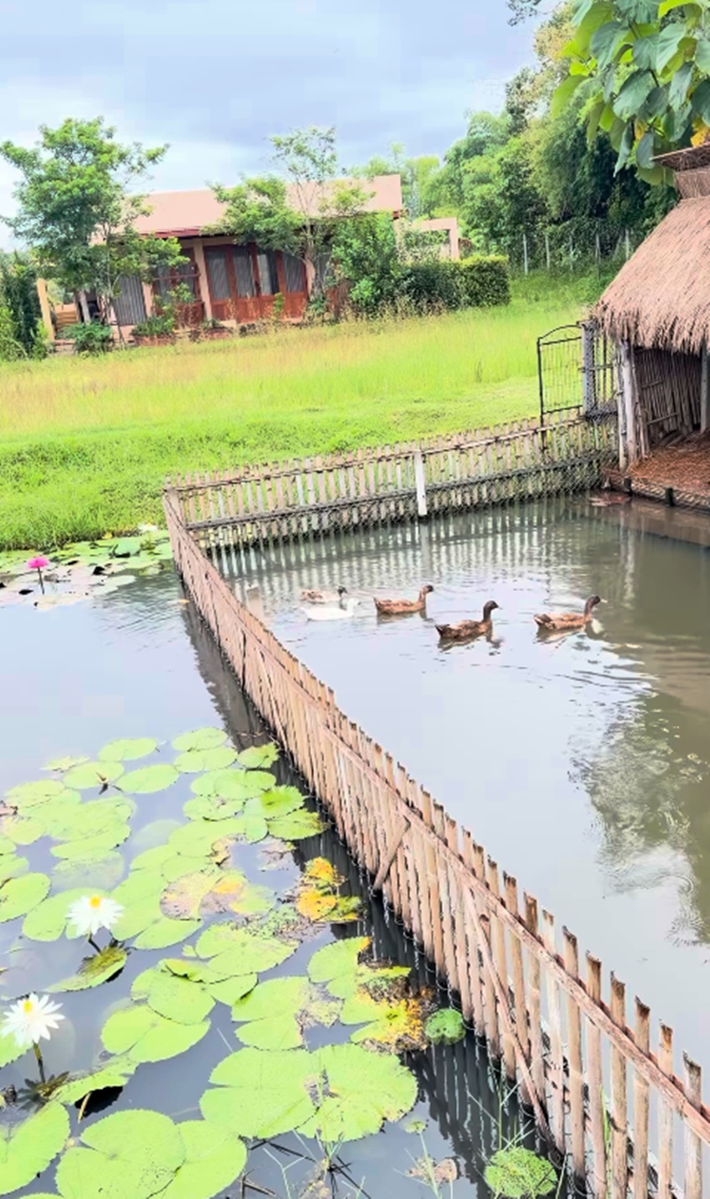 บ้านแอน ทองประสม