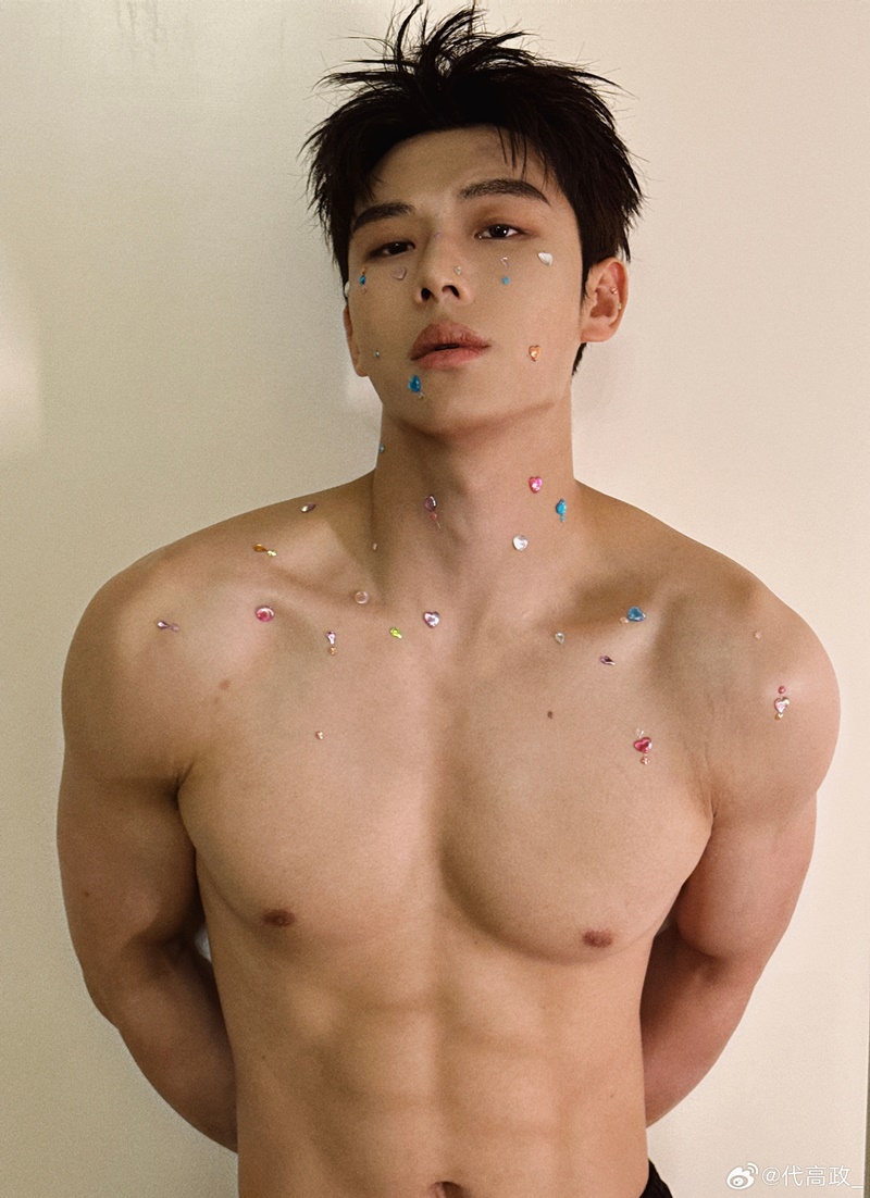 ไต้เกาเจิ้ง ประวัติ Dai Gao Zheng