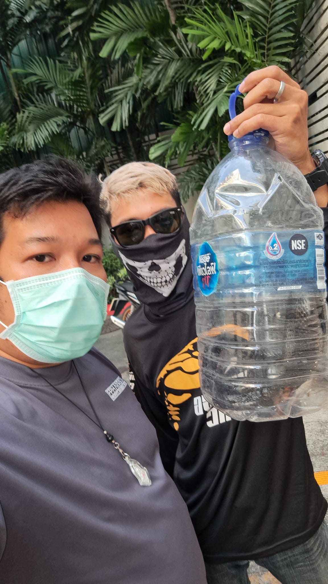 งูเห่าสีดำ