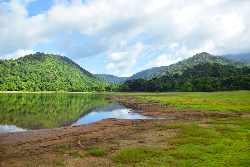 ทุ่งหญ้าสีเขียว ที่เที่ยวหน้าฝน 2568 อ่างเก็บน้ำทรายทอง