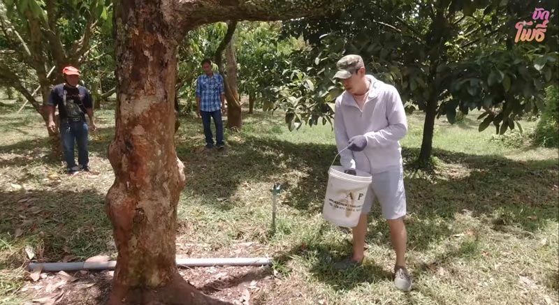 ชาคริต แอน