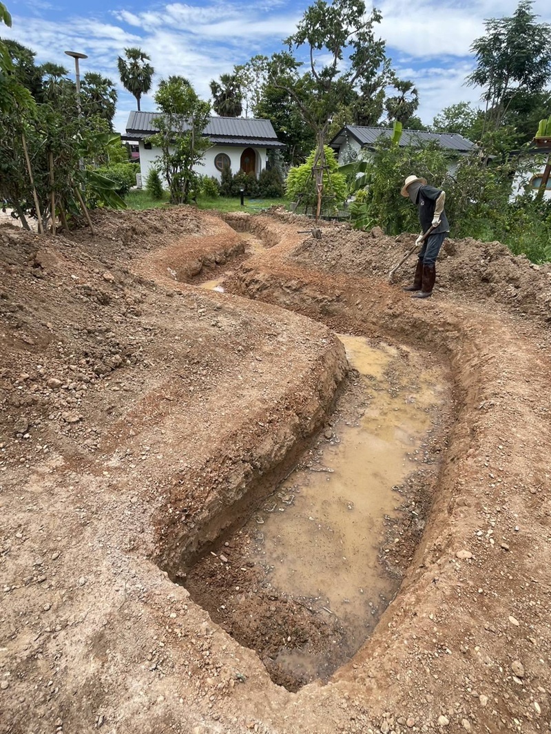 แปลงผัก