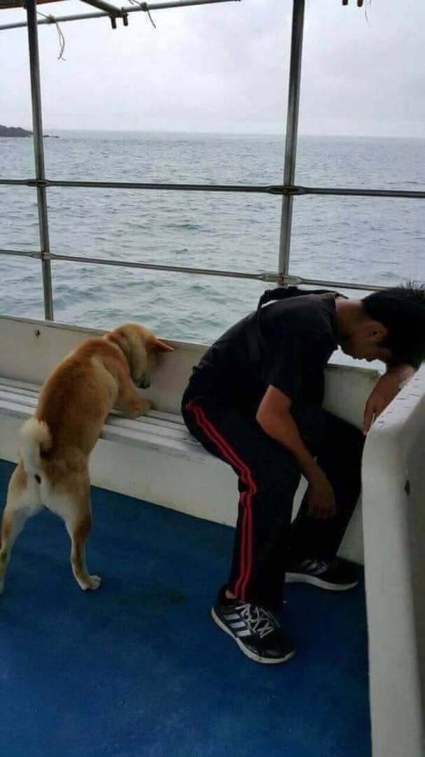 ล่องเรือ