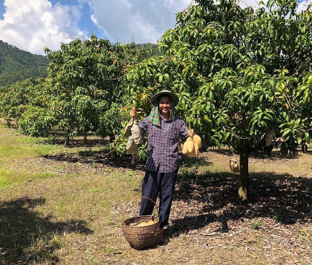 ยุ้ย ชิตพร