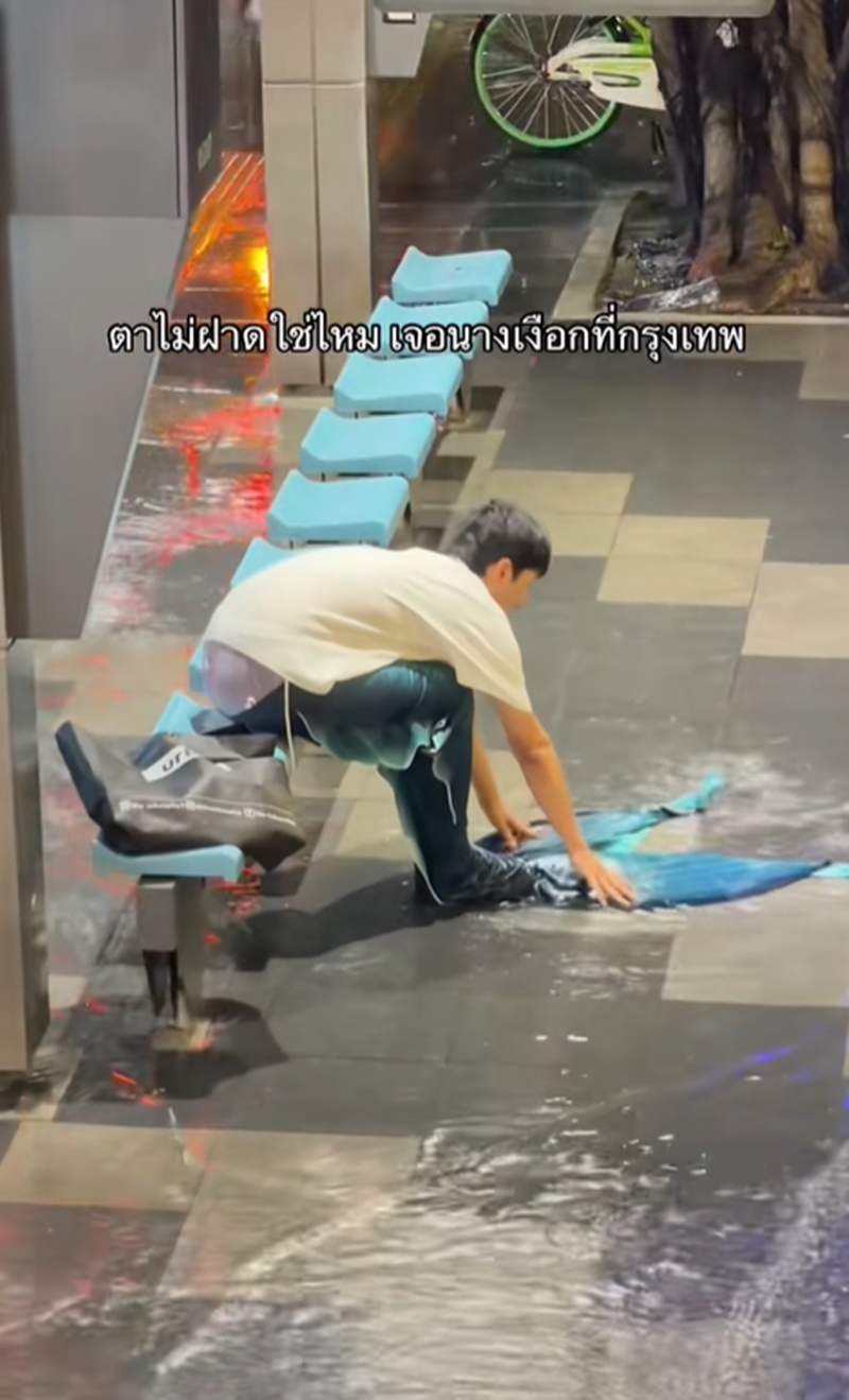 นางเงือก