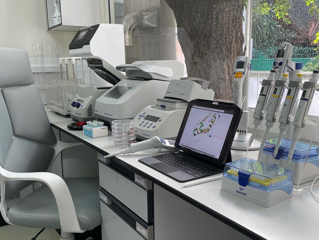 ปอย ตรีชฎา