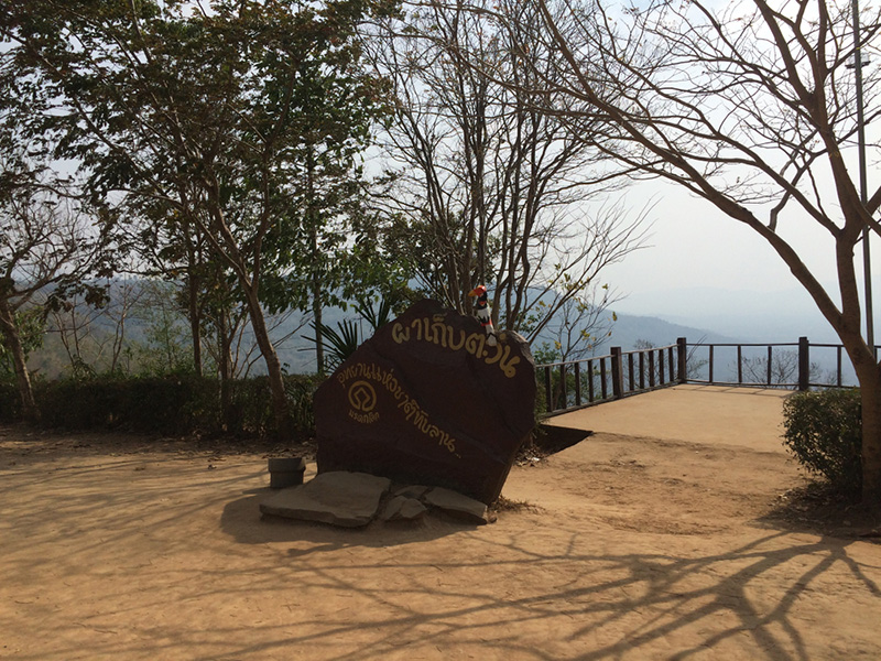 ลานกางเต็นท์ เขาใหญ่
