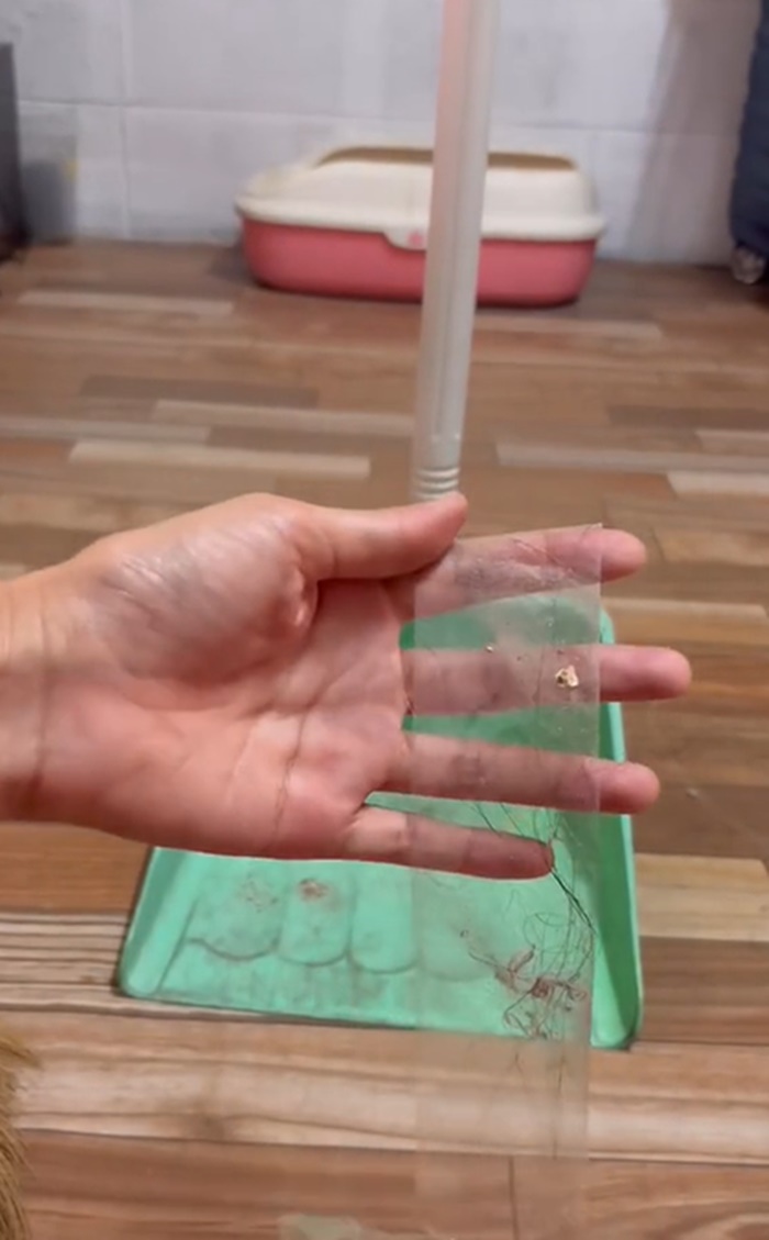 ไม้กวาดดูดฝุ่น