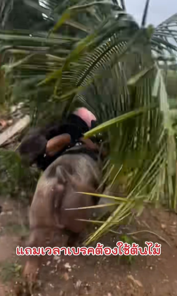 ไปโรงเรียน