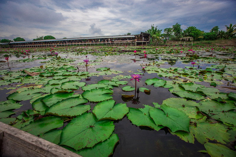 ที่เที่ยวบางเลน
