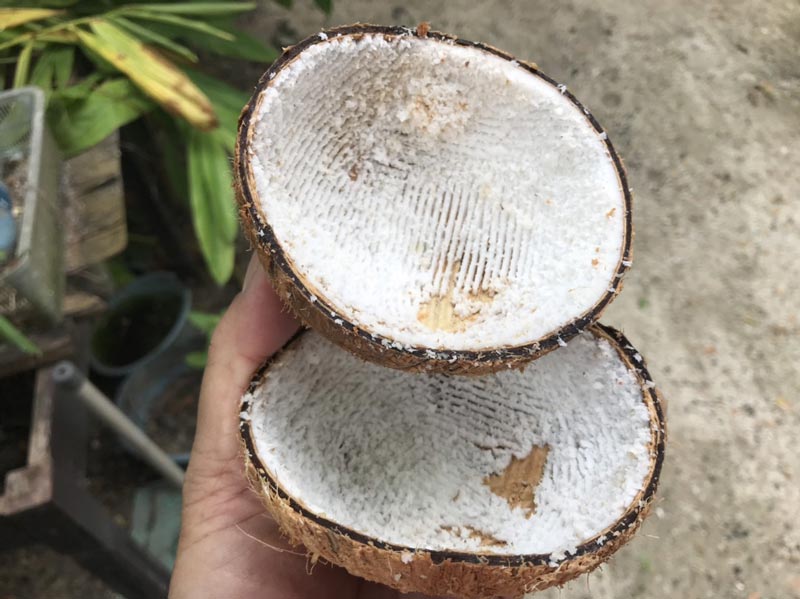 หลนปลาเค็ม