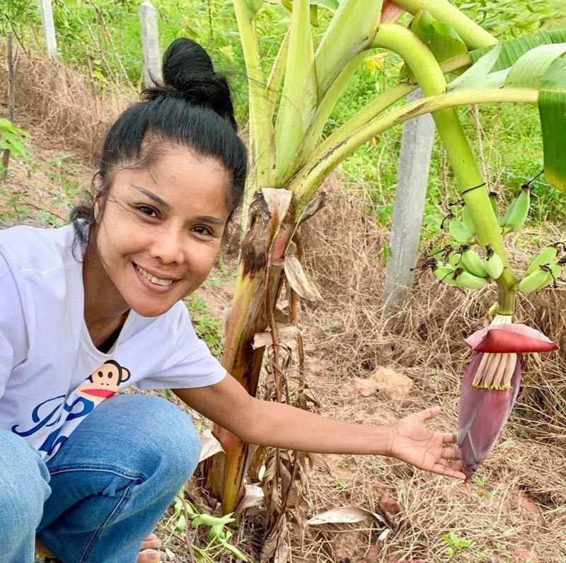 เจเน็ต เขียว