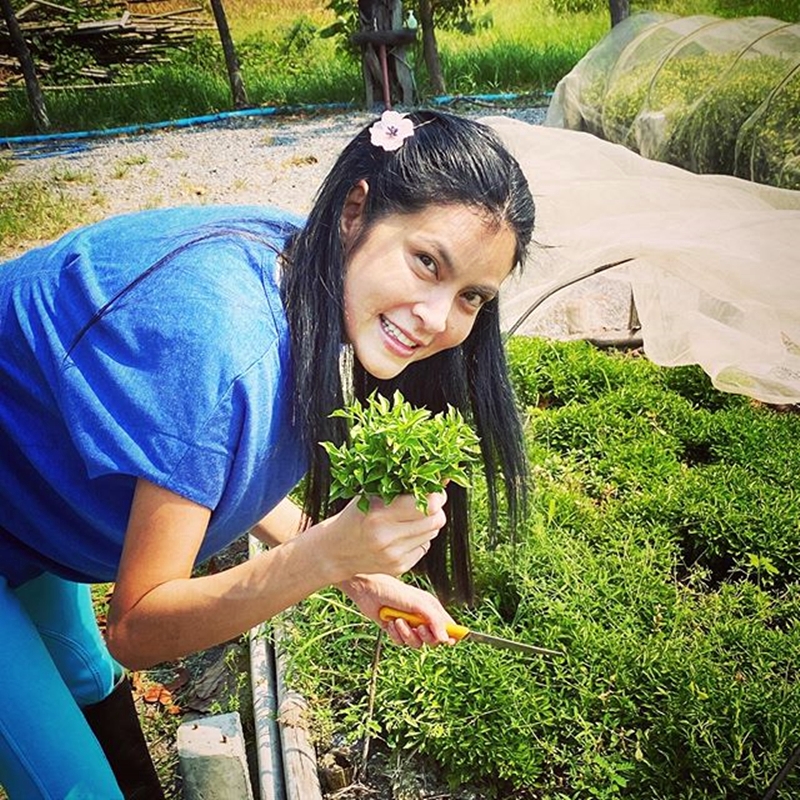 สวนผัก ปิ่น เก็จมณี