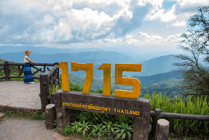 ทะเลหมอกหน้าฝน จุดชมวิว 1715 ดอยภูคา