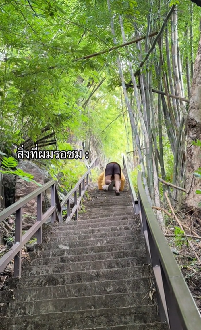 เดินป่า