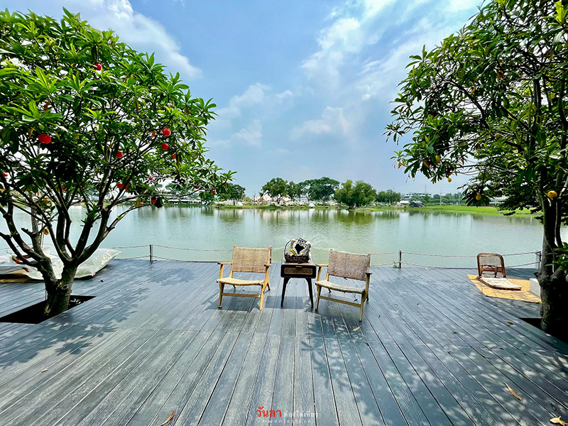 ร้านคาเฟ่ Google Trend