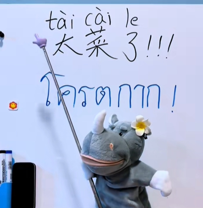 สอนภาษาจีน