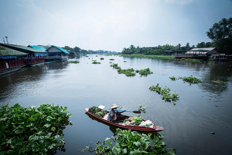ตลาดน้ำใกล้กรุงเทพฯ