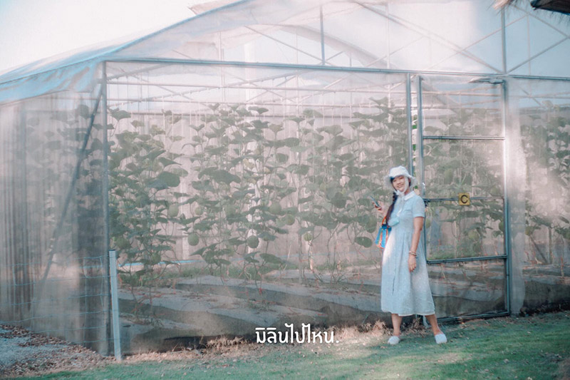 ร้านคาเฟ่สวนผลไม้