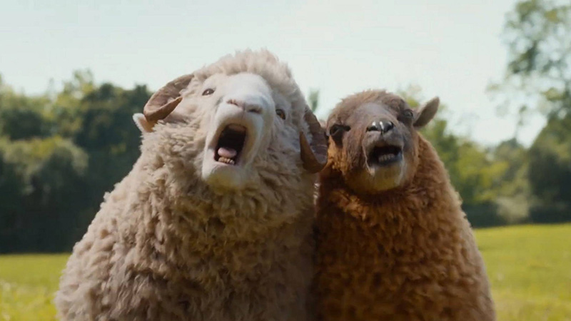 The Sheep Detectives แก๊งแกะรอยยอดนักสืบ หนังใหม่พฤษภาคม 2569 หนังใหม่ 2026 ภาพตัวอย่าง