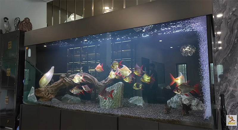 บ้านวิลลี่ แมคอินทอช