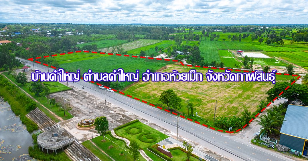 ตงตง กฤษกร