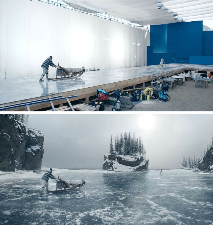 The Call of the Wild