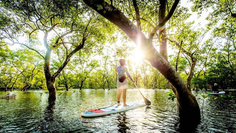 ที่เล่น SUP Board