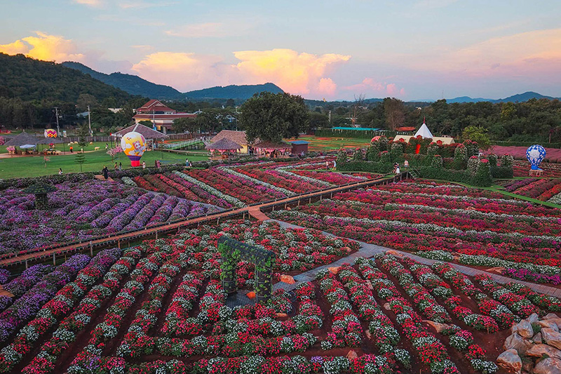 สวนดอกไม้เขาใหญ่ 2569
