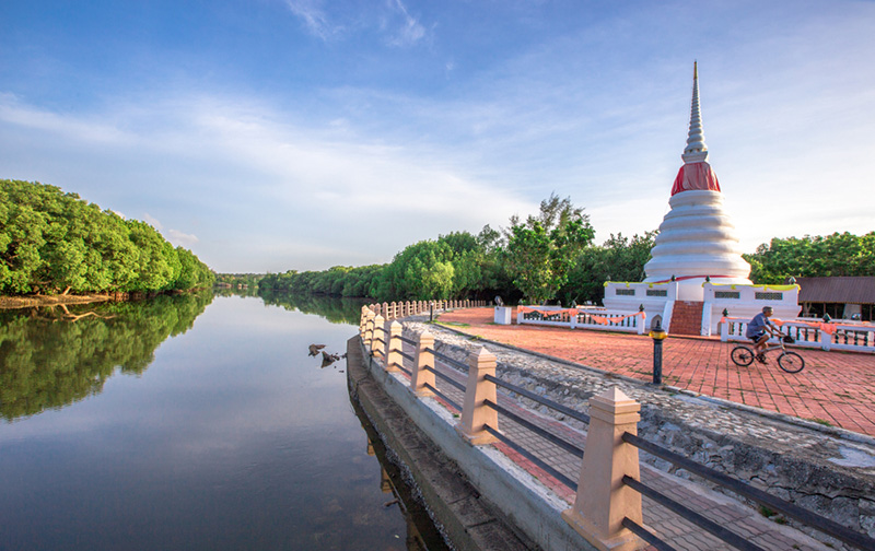 ป่าชายเลนพระเจดีย์กลางน้ำ จังหวัดระยอง