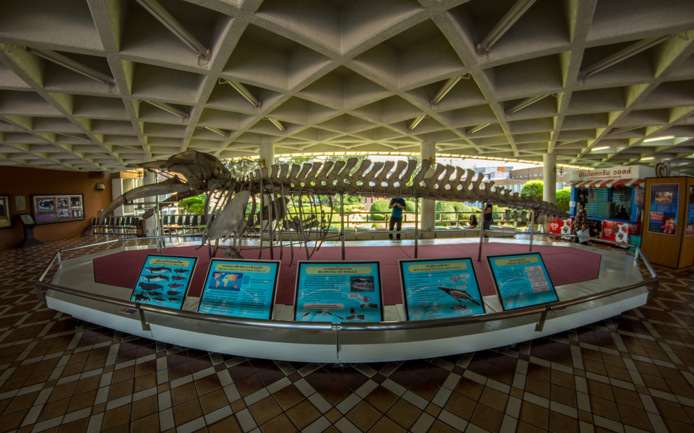 พิพิธภัณฑ์วิทยาศาสตร์ทางทะเล 