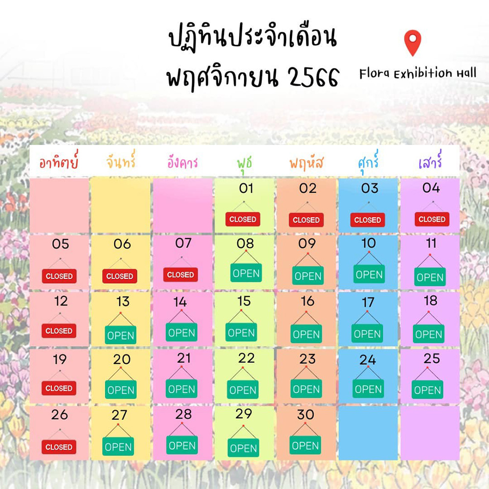 ฟาร์มดอกไม้เมืองหนาวระยอง