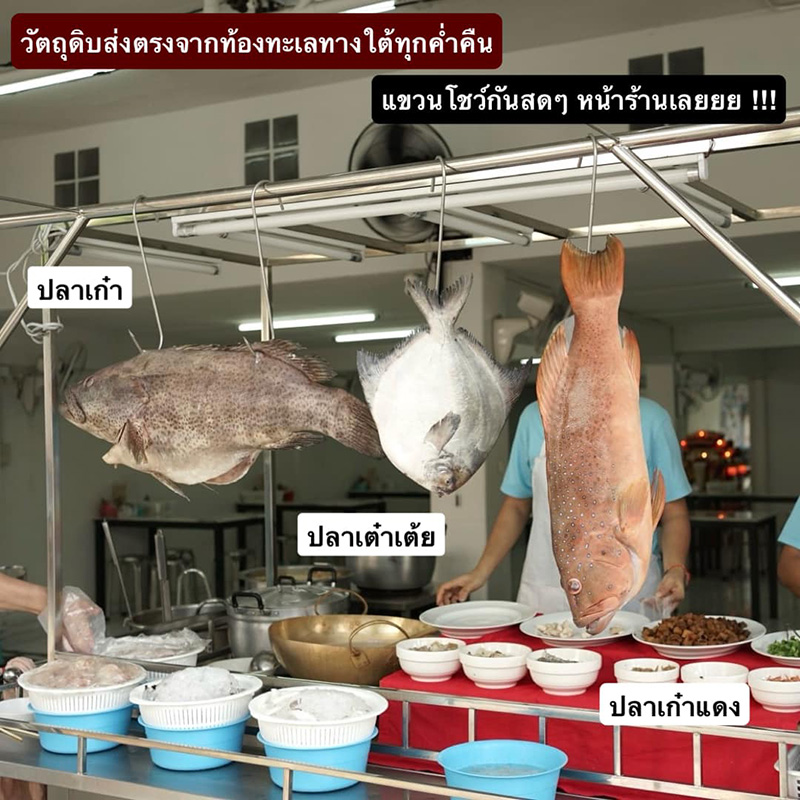 วัตถุดิบสด ๆ ของร้านข้าวต้มปลากิมโป้ อ่อนนุช