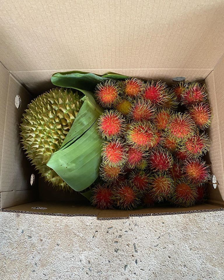 สวนผลไม้ตราด