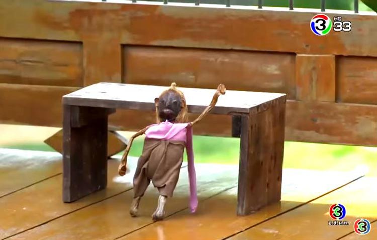 น้องรำพึง ละคร ทองเอก หมอยา ท่าโฉลง