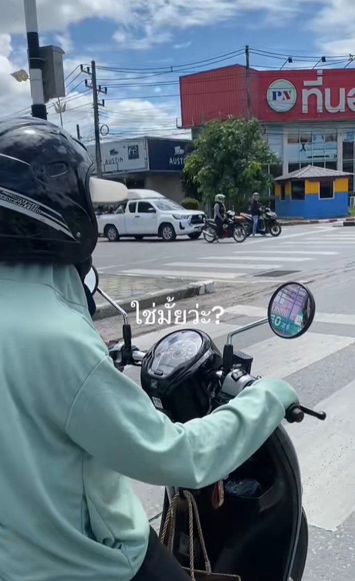 แมลงสาบ