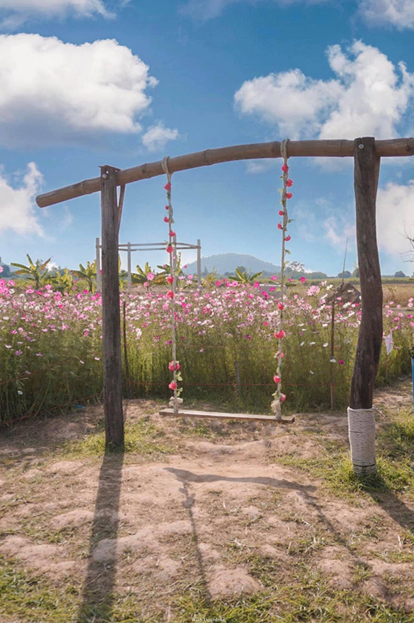 สวนดอกไม้ลุงชัย ราชบุรี
