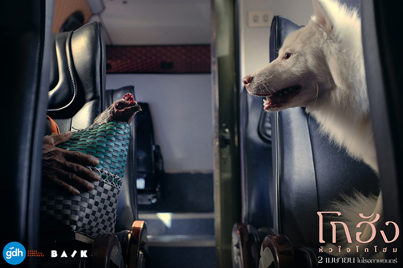 หนัง โกฮัง หัวใจโกโฮม หนังเกี่ยวกับสุนัข หนังใหม่ GDH 2569