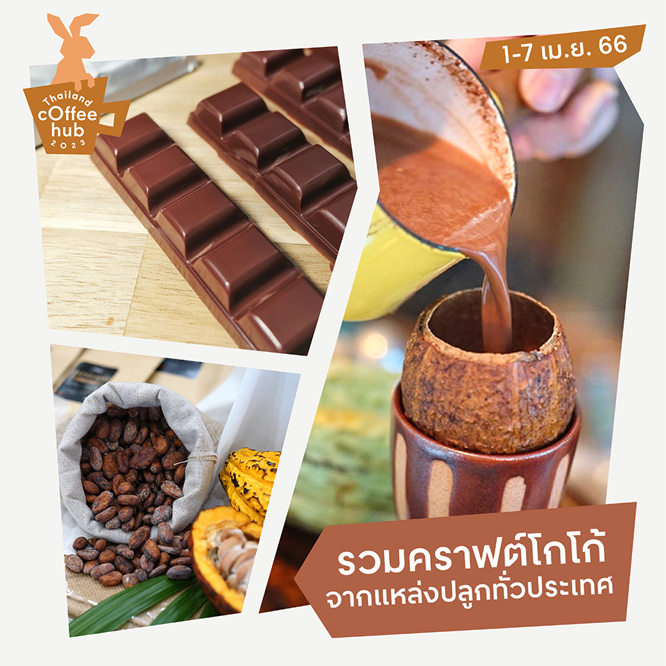 งาน Thailand Coffee Hub 2023