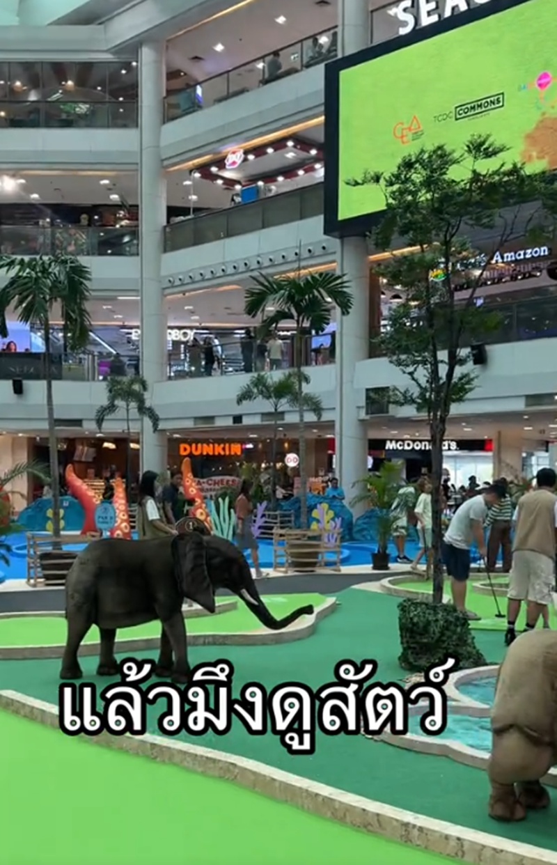 ให้อาหารสัตว์