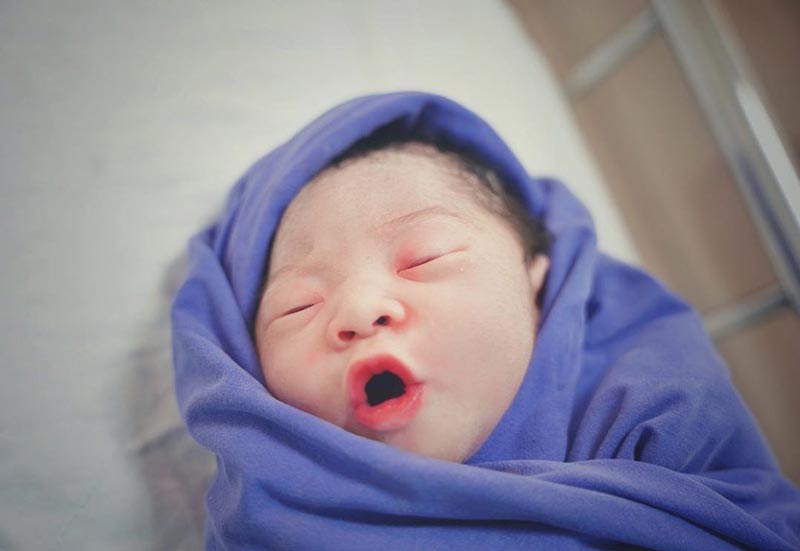 กุ๊บกิ๊บ คลอดลูก