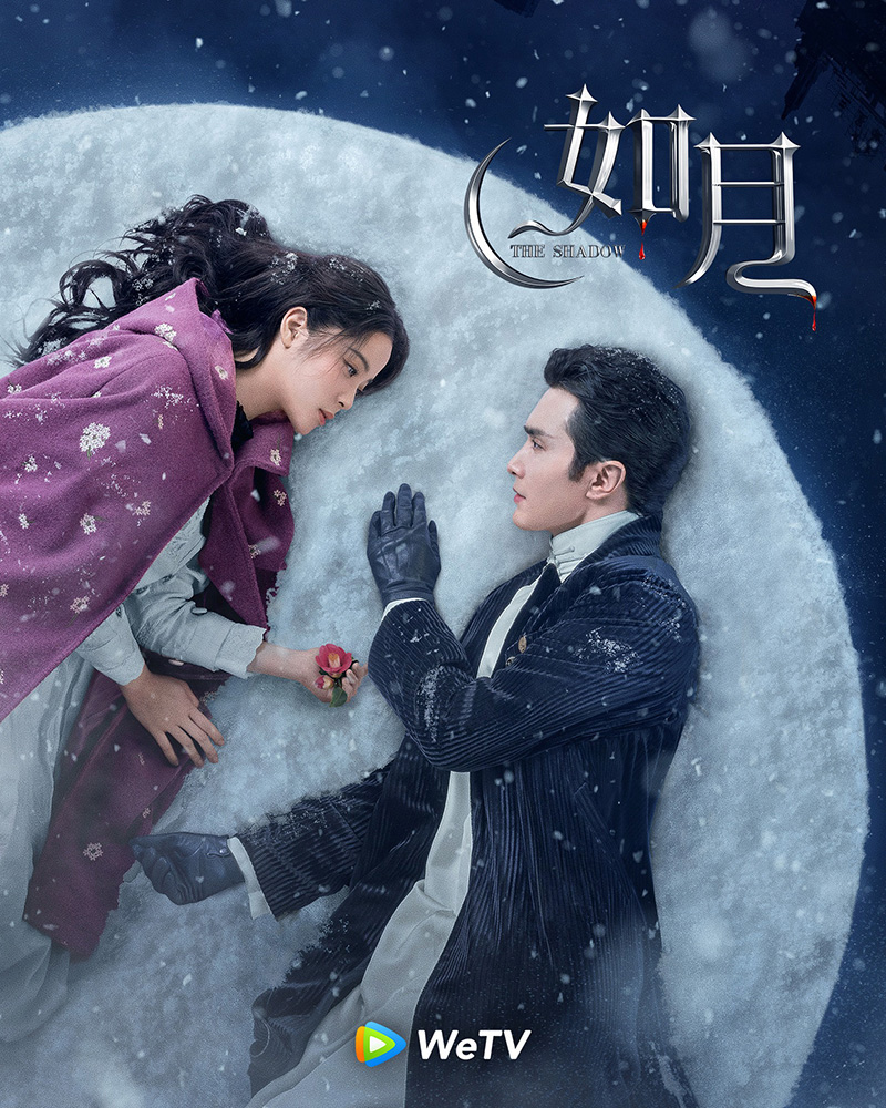 ซีรีส์จีน The Shadow